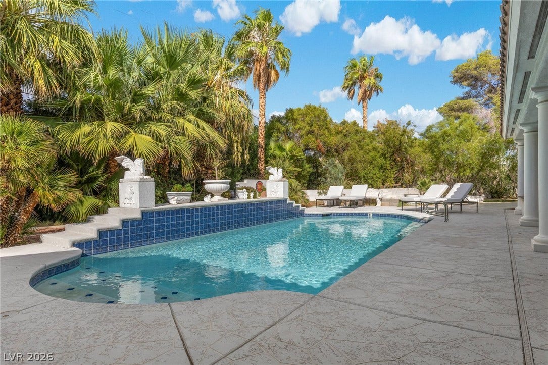Lush tropical palms and structured concrete decking frame this sparkling in-ground pool.
