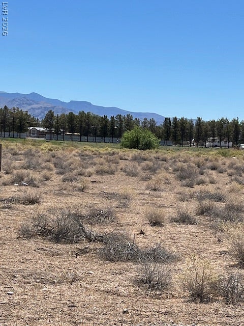 801 S Ford Loop, Pahrump, NV 89048 Natural desert landscape stretches toward towering mountains under a clear blue sky.