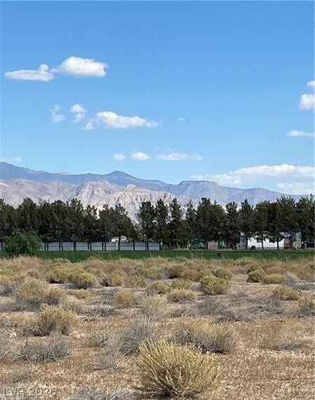 801 S Ford Loop, Pahrump, NV 89048 Rugged desert vegetation frames a backdrop of majestic mountain peaks under clear blue skies.