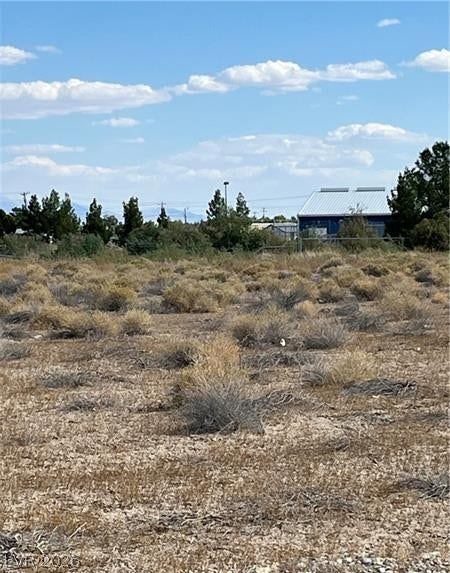 801 S Ford Loop, Pahrump, NV 89048 Natural desert vegetation covers this expansive lot under a bright blue sky.