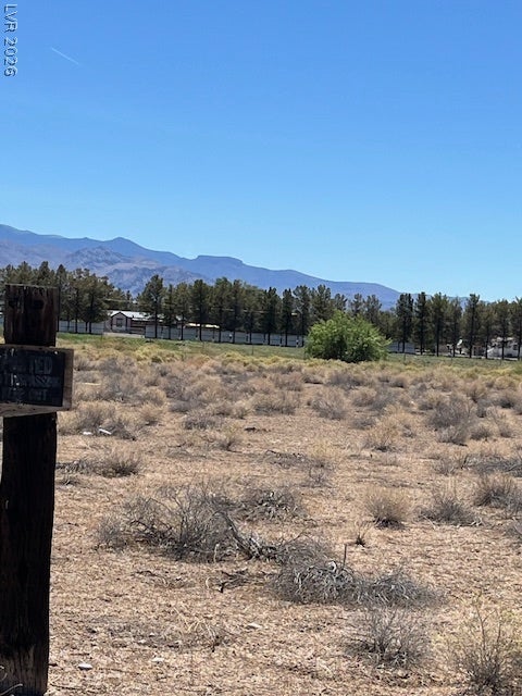 801 S Ford Loop, Pahrump, NV 89048 Natural desert vegetation sits set against a backdrop of distant mountain peaks.