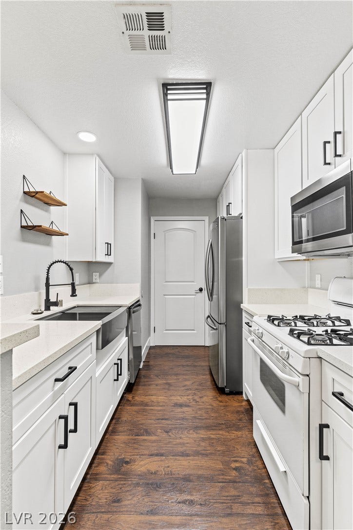 Rich wood flooring anchors this streamlined galley kitchen with modern stone countertops.