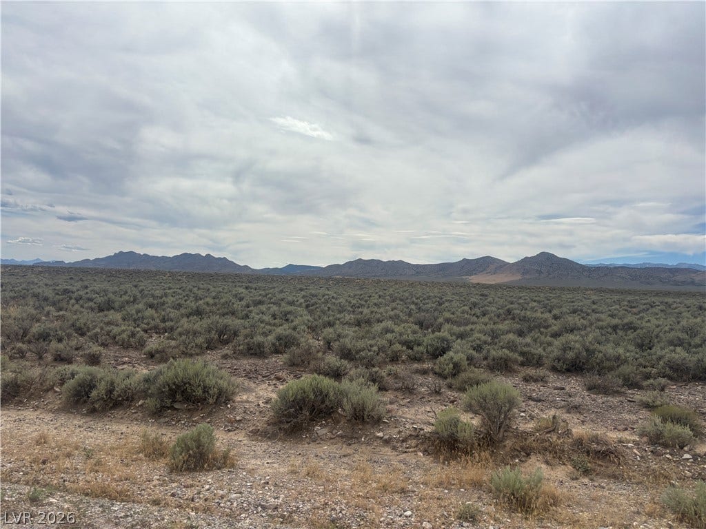 Preston Dump Road, Ely, NV 89301 Distant mountains frame the wide, open horizon of this vast desert landscape.
