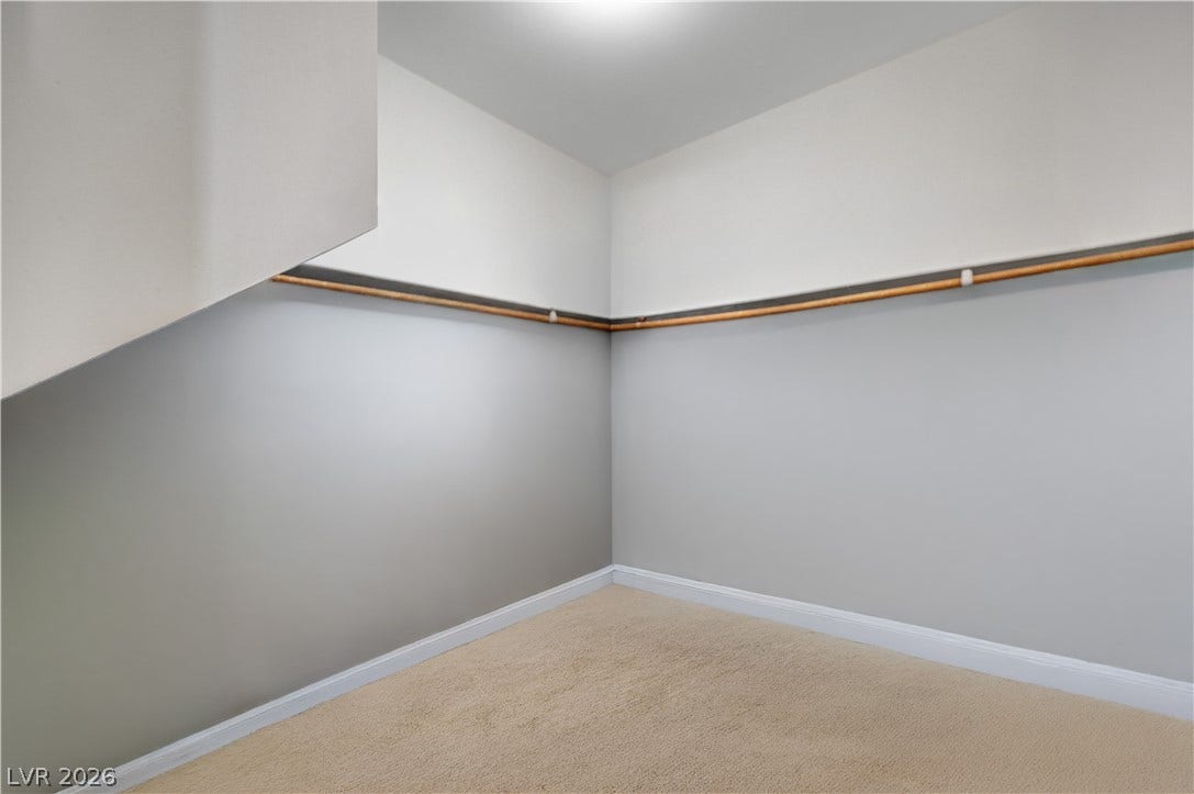 Carpeted flooring completes this versatile closet space with hanging rods.