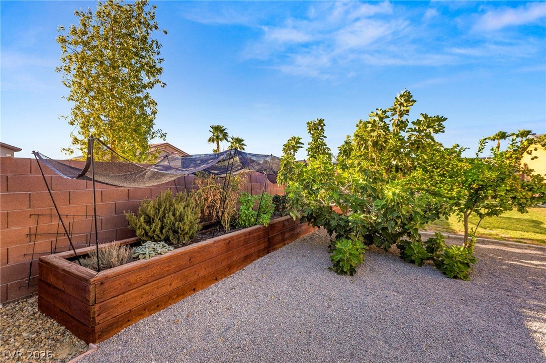 327 Castle Wynd Avenue, Las Vegas, NV 89183 fruit trees