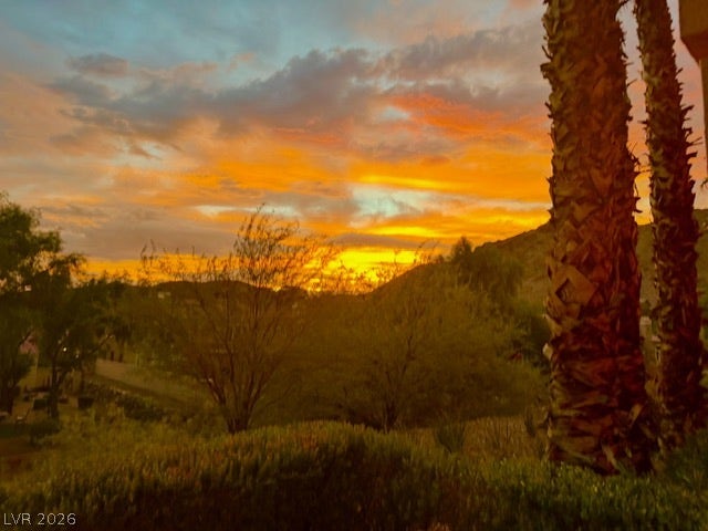 30 Via Vasari, #102, Henderson, NV 89011 Dramatic sunset skies frame the rolling desert hills and mature palm trees.