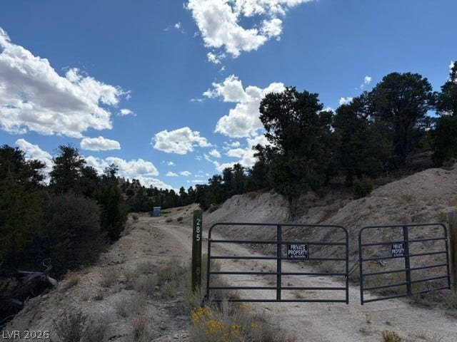 285 E Ward Mountain Drive, Ely, NV 89301 A secure gated entrance opens to a winding dirt road surrounded by mature trees.