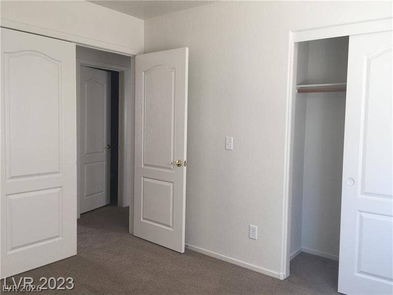 Crisp white panel doors open to structured closets and transitions in this carpeted room.