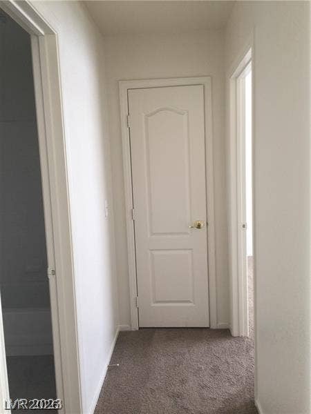 Soft carpeting lines the floor of this efficient hallway connecting multiple rooms.