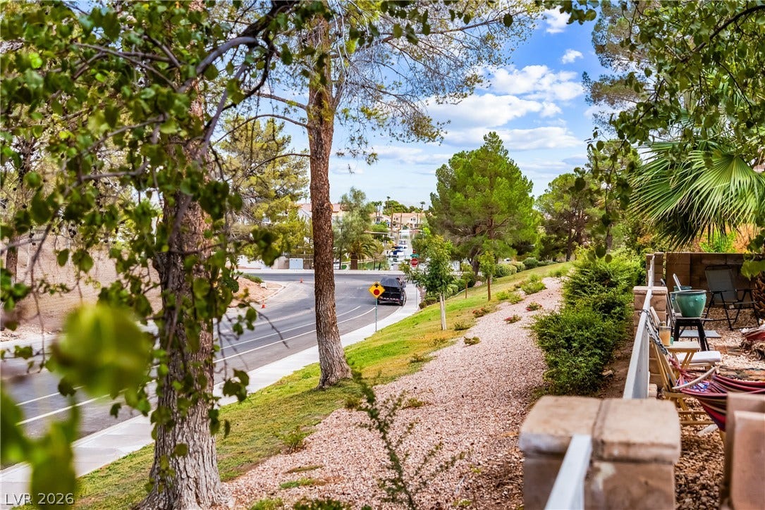 Mature trees frame a neighborhood view overlooking the street and local landscape.