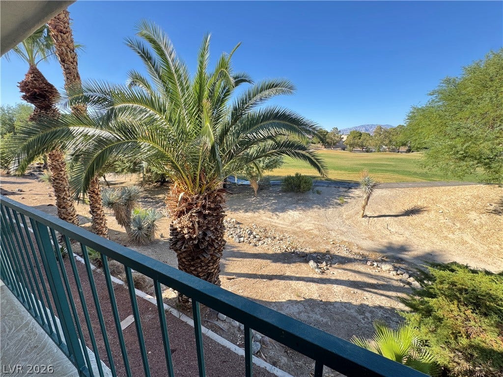 Lush palm trees frame peaceful views across the surrounding desert landscape.