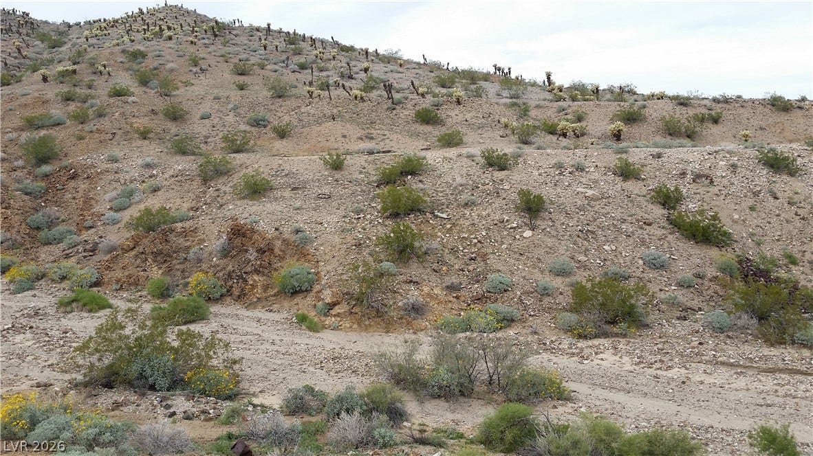 Aztec Wash Road - NPS 43, Nelson, NV 89046 Mountain view with a rural view and view of desert