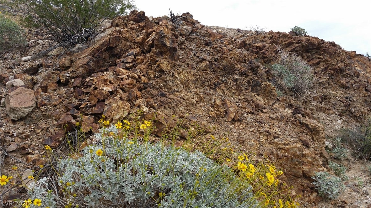 Aztec Wash Road - NPS 43, Nelson, NV 89046 Property view of mountains