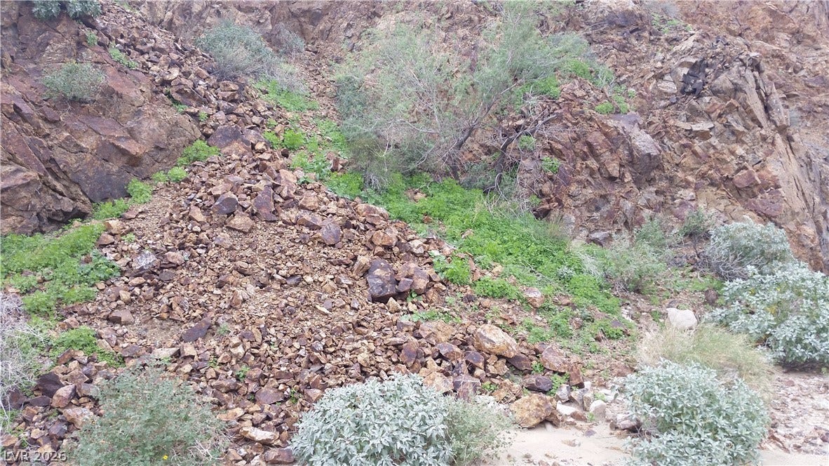Aztec Wash Road - NPS 43, Nelson, NV 89046 View of landscape