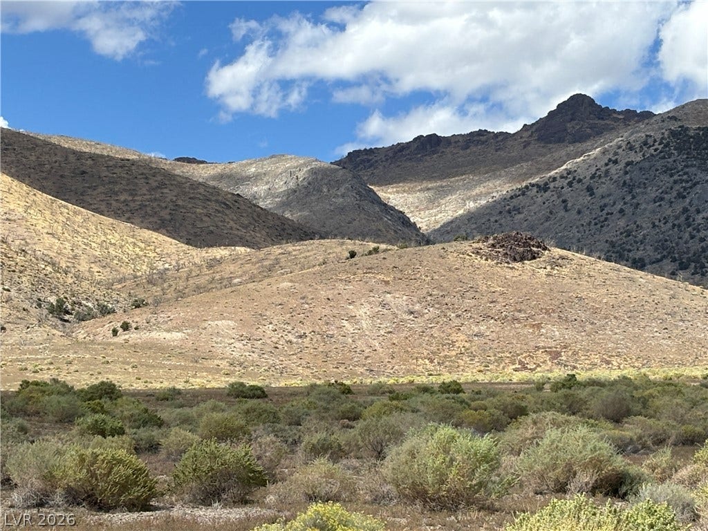 WP Co. WP Co. Road 31 (N. Spring Valley Rd), Ely, NV 89301 Dramatic mountain ridges rise above the desert brush under a bright blue sky.