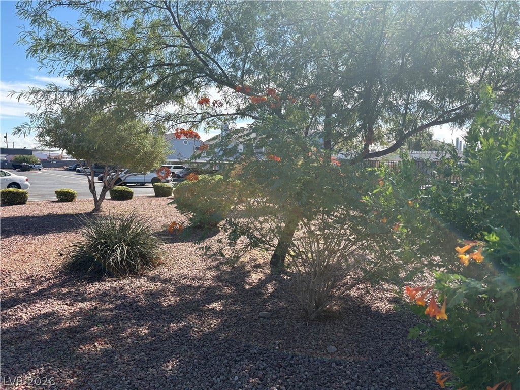 Lush desert plantings and mature shade trees frame the gravel landscaping.