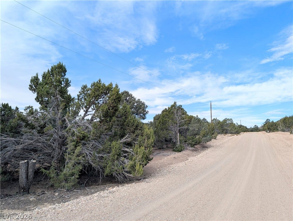 Lot 1-A Side Hill Pass, Pioche, NV 89043 Mature trees line a quiet gravel road under wide open blue skies.