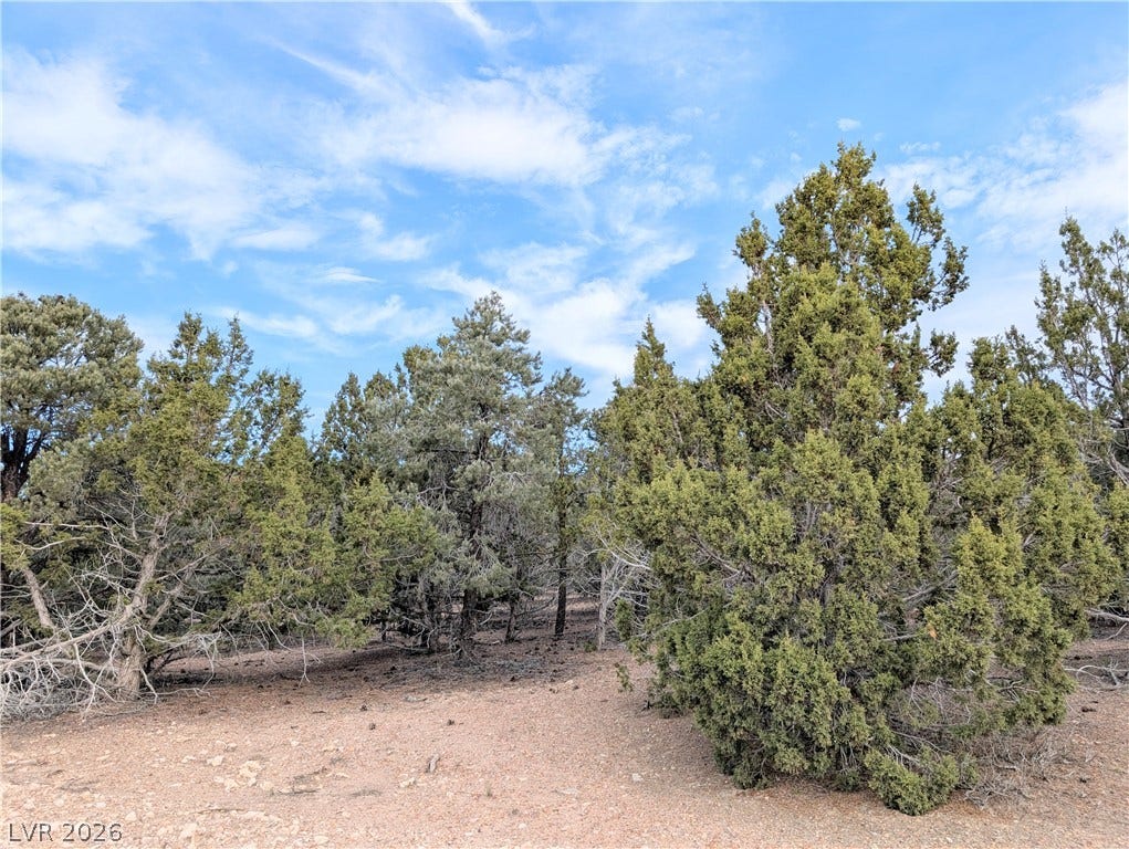 Lot 1-A Side Hill Pass, Pioche, NV 89043 Mature trees frame a peaceful clearing on this natural, unimproved building site.
