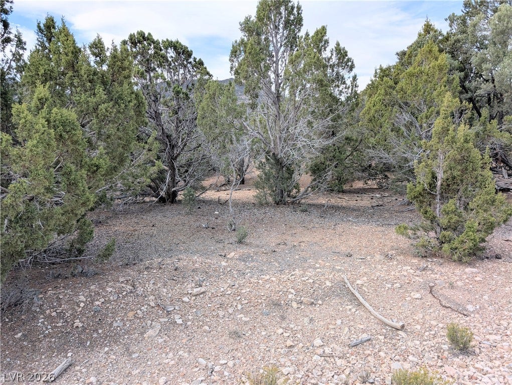 Lot 1-A Side Hill Pass, Pioche, NV 89043 Mature native trees frame a natural clearing on this high desert land parcel.