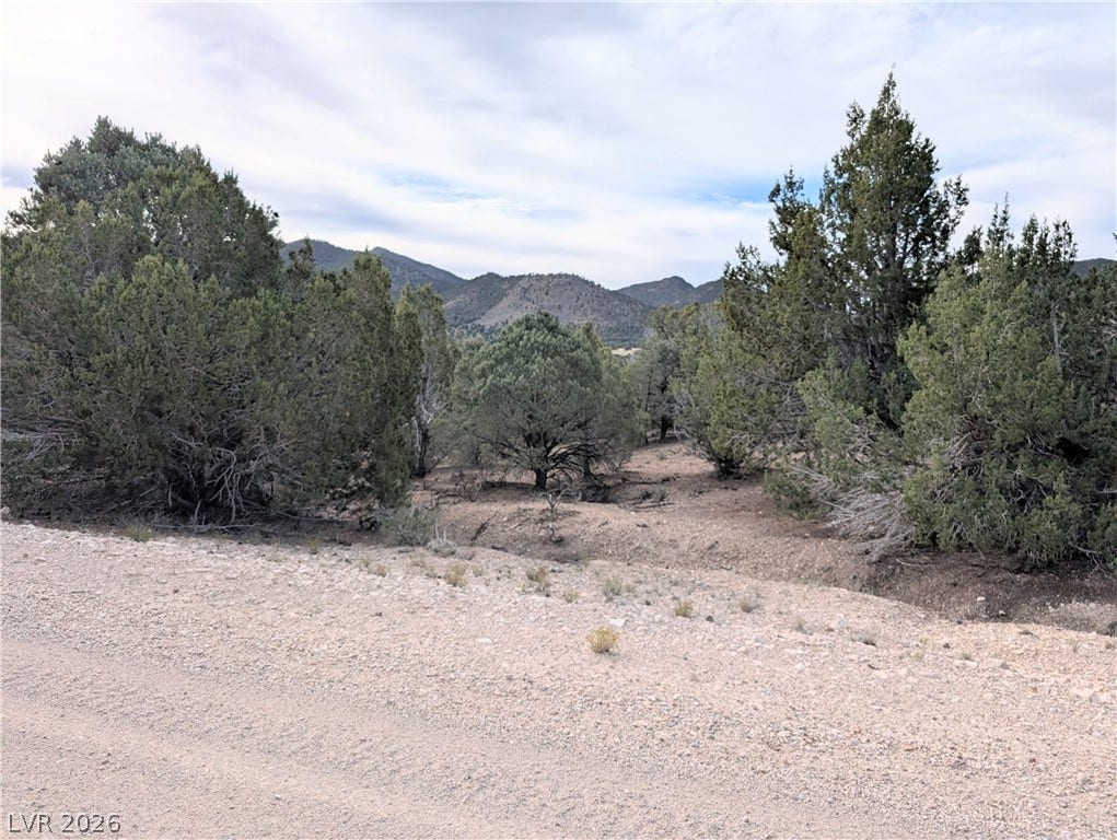 Lot 1-A Side Hill Pass, Pioche, NV 89043 Rugged terrain and mature evergreens define this serene mountain landscape.