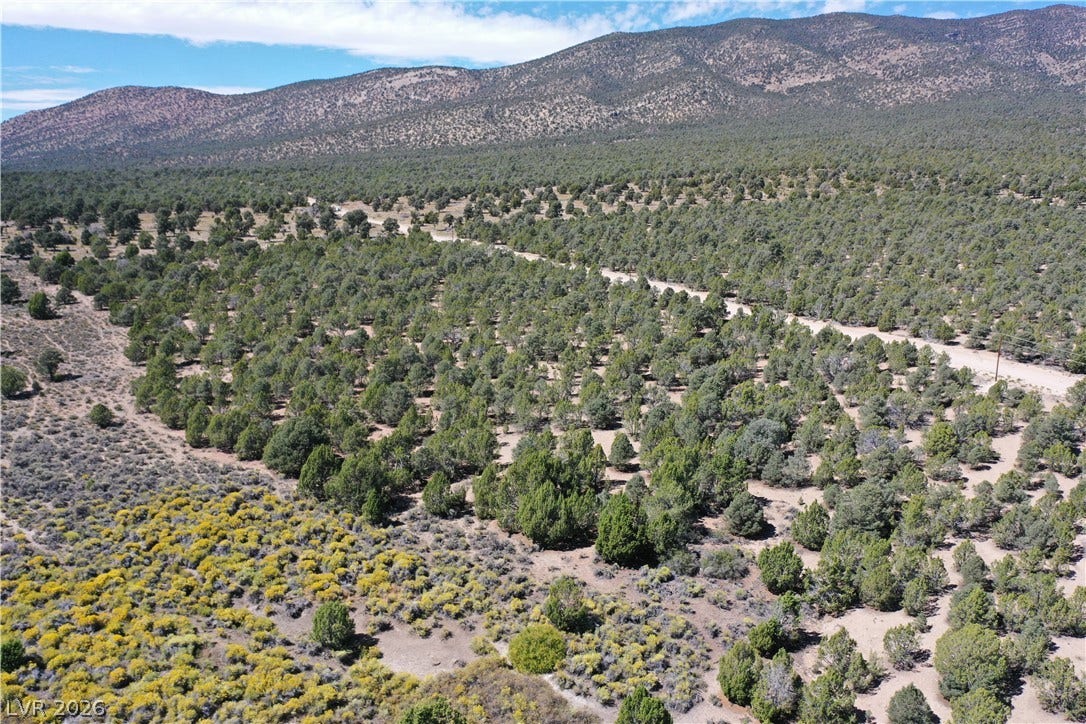 Lot 1-A Side Hill Pass, Pioche, NV 89043 Epic mountain backdrops frame this vast wooded acreage under open blue skies.