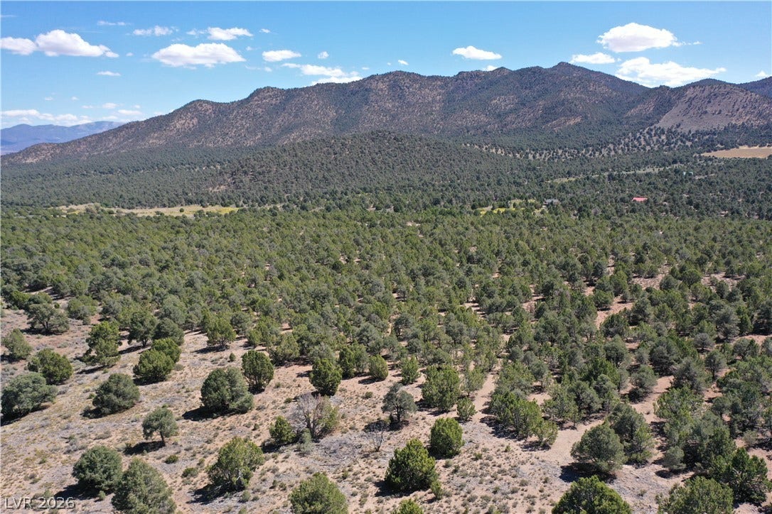 Lot 1-B Side Hill Pass, Pioche, NV 89043 Rugged ridges rise above a vast expanse of pinon and juniper trees.