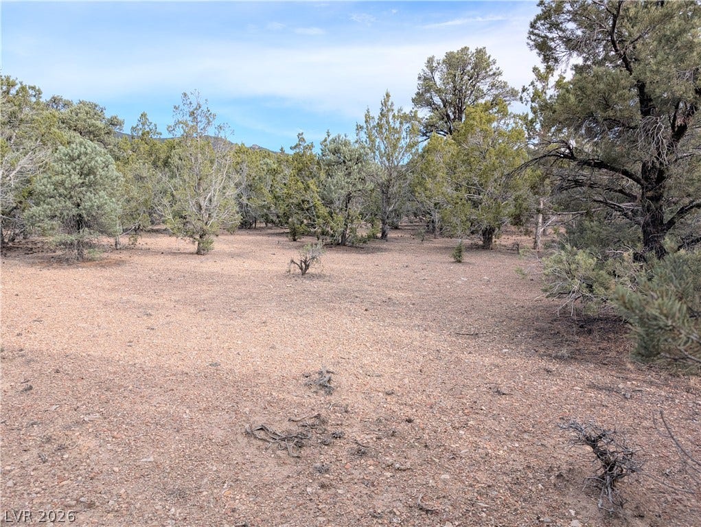 Lot 1-C Side Hill Pass, Pioche, NV 89043 Mature trees surround a natural clearing on this peaceful wooded parcel under blue skies.