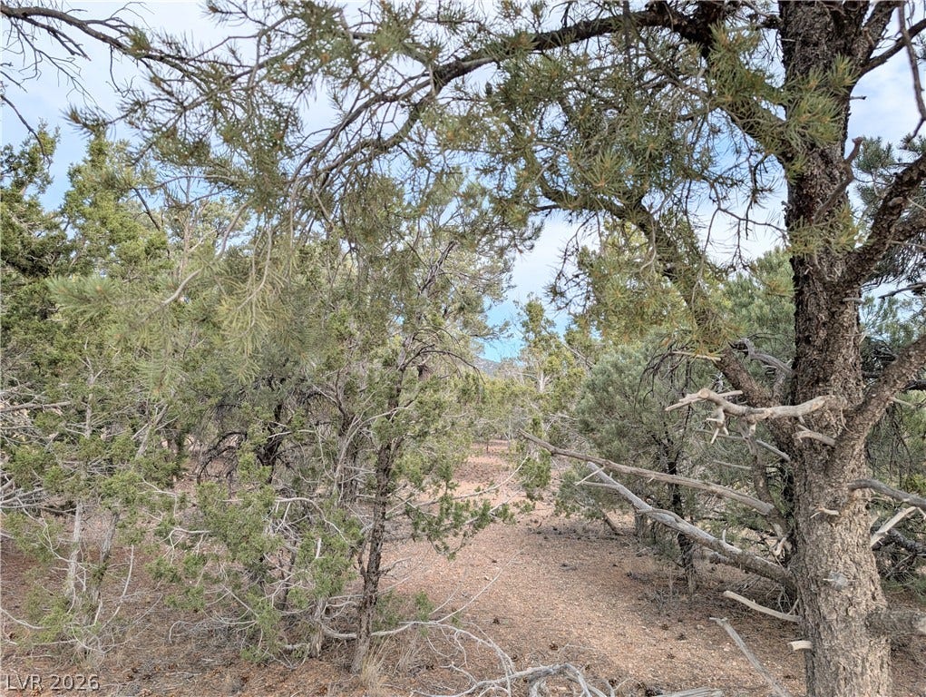 Lot 1-C Side Hill Pass, Pioche, NV 89043 Natural desert foliage and mature trees frame a peaceful landscape under a soft sky.