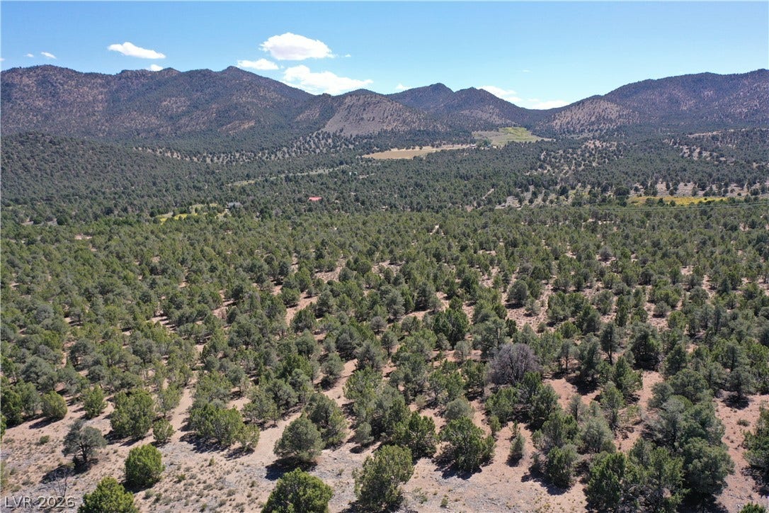 Lot 1-D Side Hill Pass, Pioche, NV 89043 Rolling hillsides and dense pinyon pines stretch toward majestic mountain peaks under a clear blue sky.