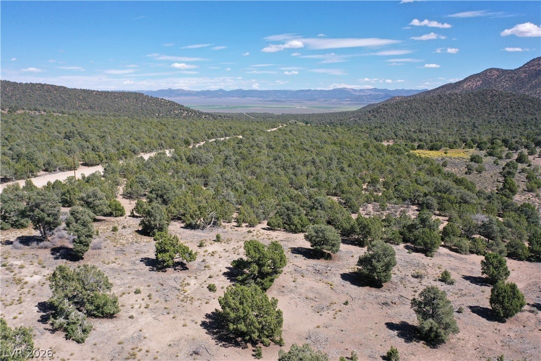 Lot 1-D Side Hill Pass, Pioche, NV 89043 Natural desert vegetation and rolling terrain sit beneath a clear sky near surrounding mountain ranges.