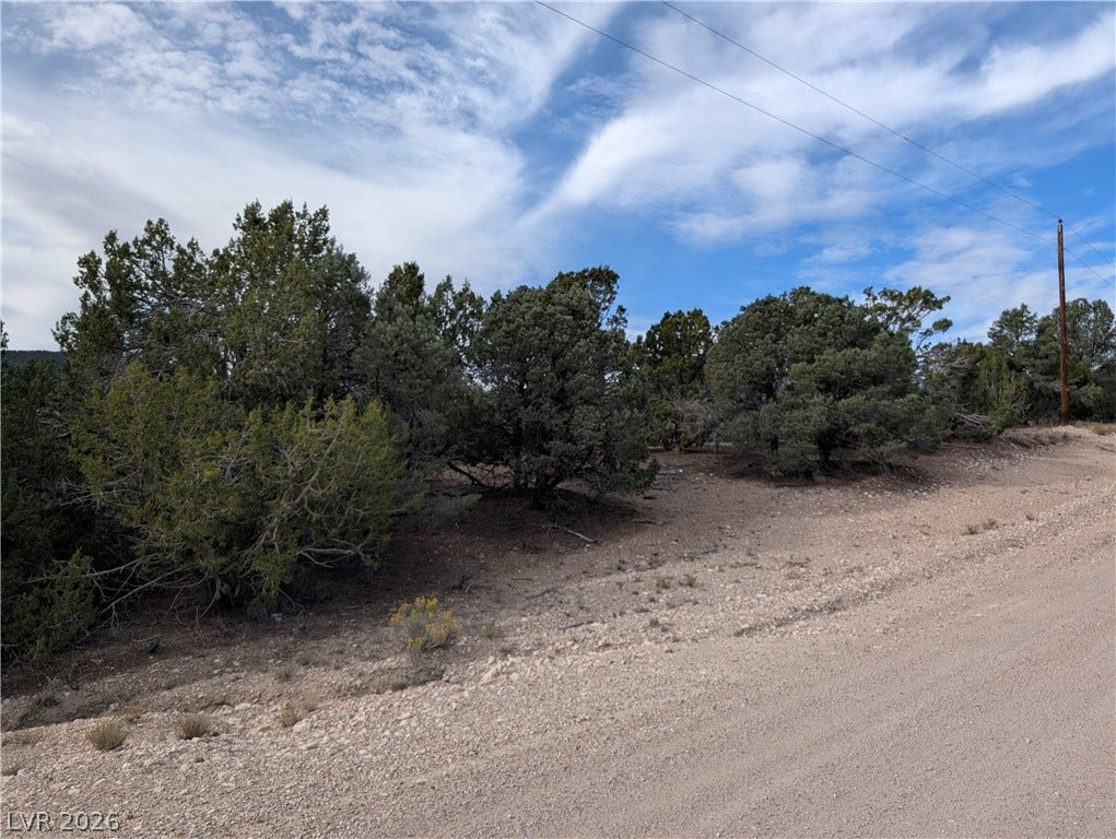 Lot 1-D Side Hill Pass, Pioche, NV 89043 Mature trees dot the natural landscape along a quiet gravel roadway.