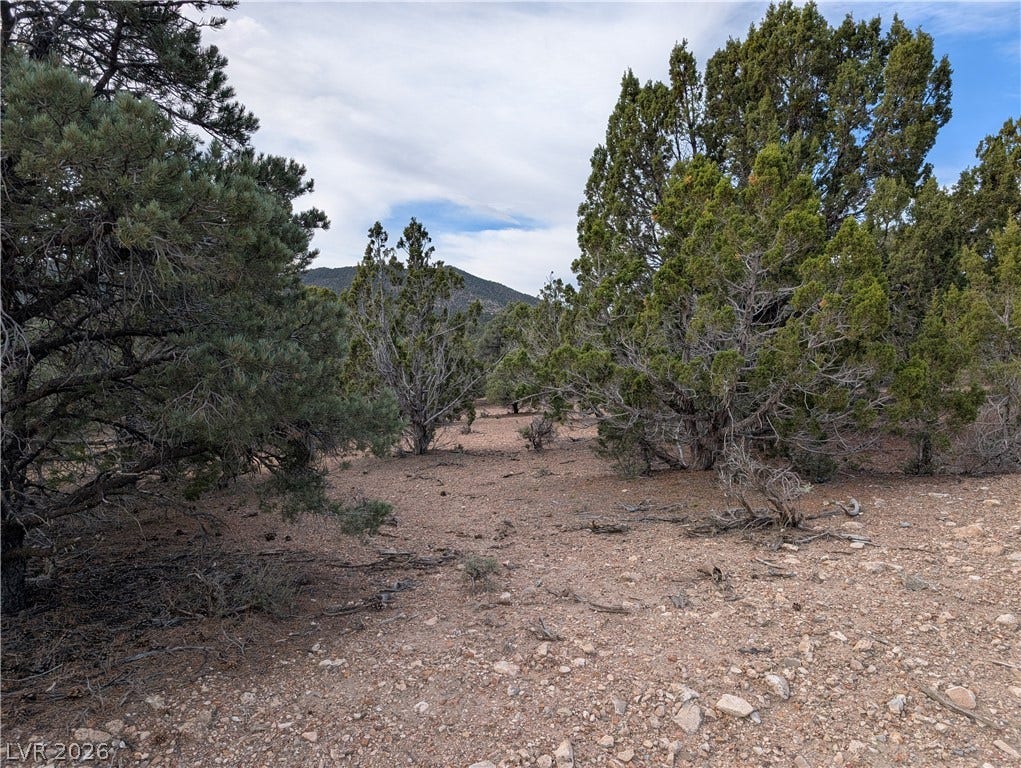 Lot 1-D Side Hill Pass, Pioche, NV 89043 Mature pinon and juniper trees dot the natural landscape under open mountain skies.