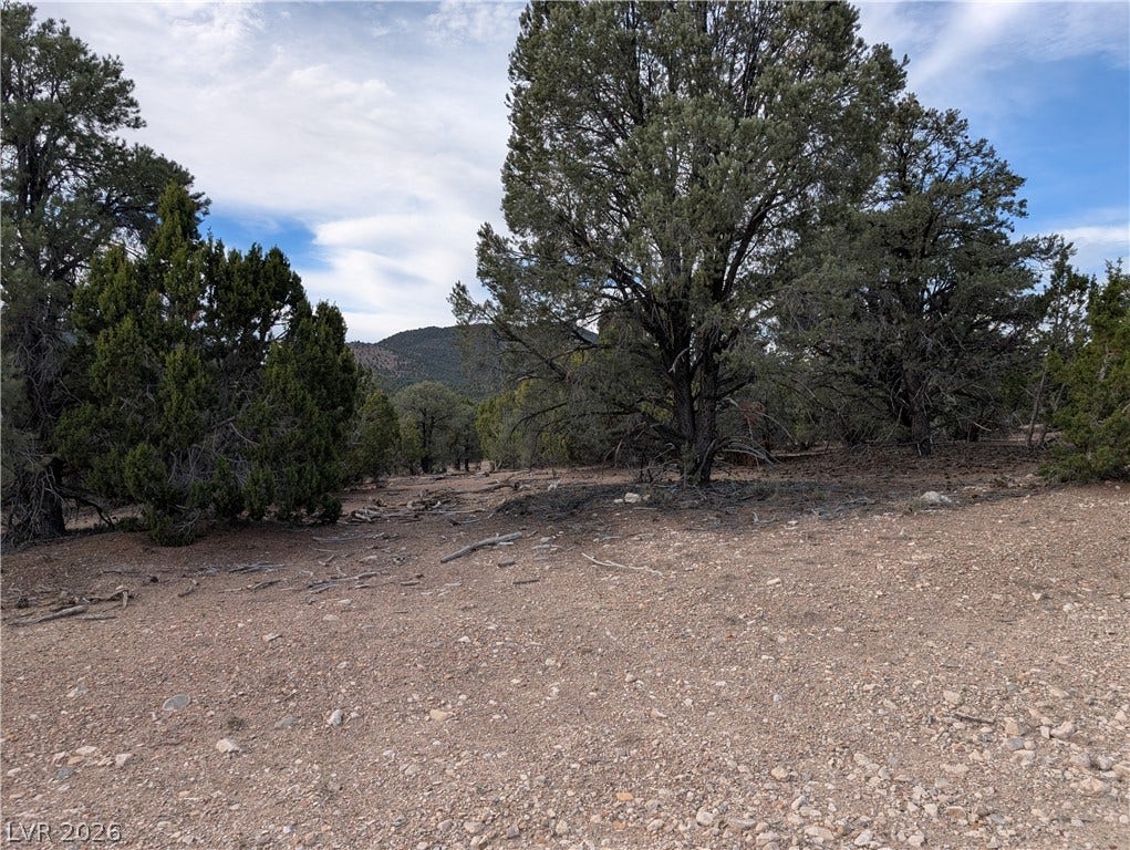 Lot 1-D Side Hill Pass, Pioche, NV 89043 Mature trees frame beautiful mountain vistas from this natural, gently sloping building site.