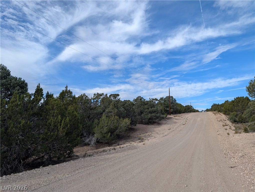 Lot 1-D Side Hill Pass, Pioche, NV 89043 A quiet dirt road winds past mature green trees under an expansive blue sky.