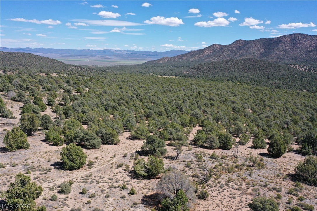 Lot 1-D Side Hill Pass, Pioche, NV 89043 Rolling hillsides and dense stands of native trees define this scenic mountain landscape.