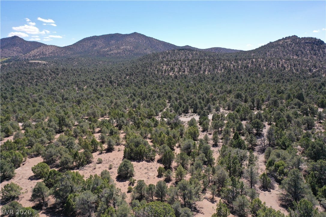 Lot 1-D Side Hill Pass, Pioche, NV 89043 Gently rolling terrain covered in mature pinyon pines rises toward majestic mountain peaks under blue skies.