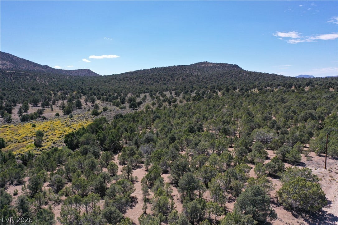 Lot 1-D Side Hill Pass, Pioche, NV 89043 Lush evergreen trees dot rolling hillsides under an open blue sky.