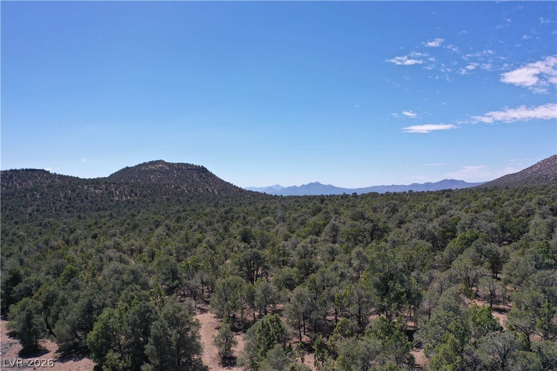 Lot 1-D Side Hill Pass, Pioche, NV 89043 Distant mountain peaks rise above a rolling forest of mature evergreen trees under blue skies.