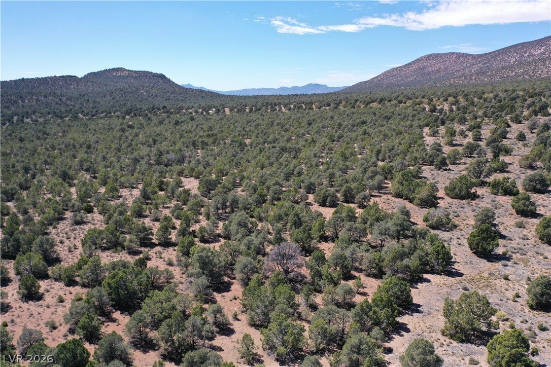 Lot 1-D Side Hill Pass, Pioche, NV 89043 Sweeping mountain vistas frame this vast, tree-filled landscape under clear blue skies.