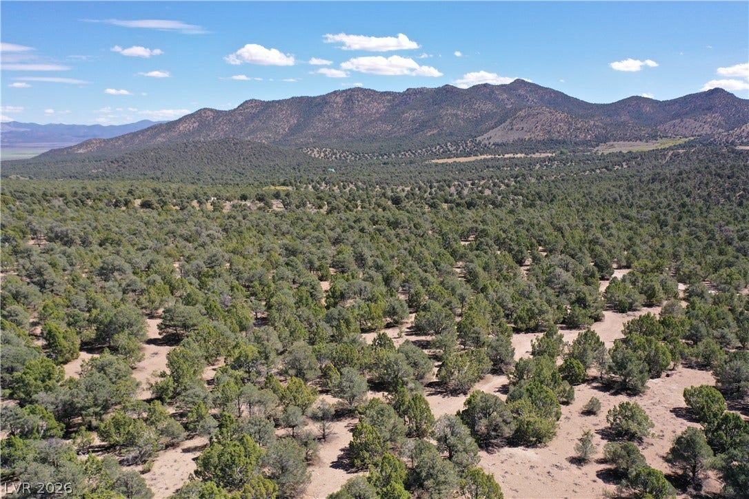 Lot 1-D Side Hill Pass, Pioche, NV 89043 Rolling hillsides and dense pinion forests stretch toward majestic mountain ranges in the distance.