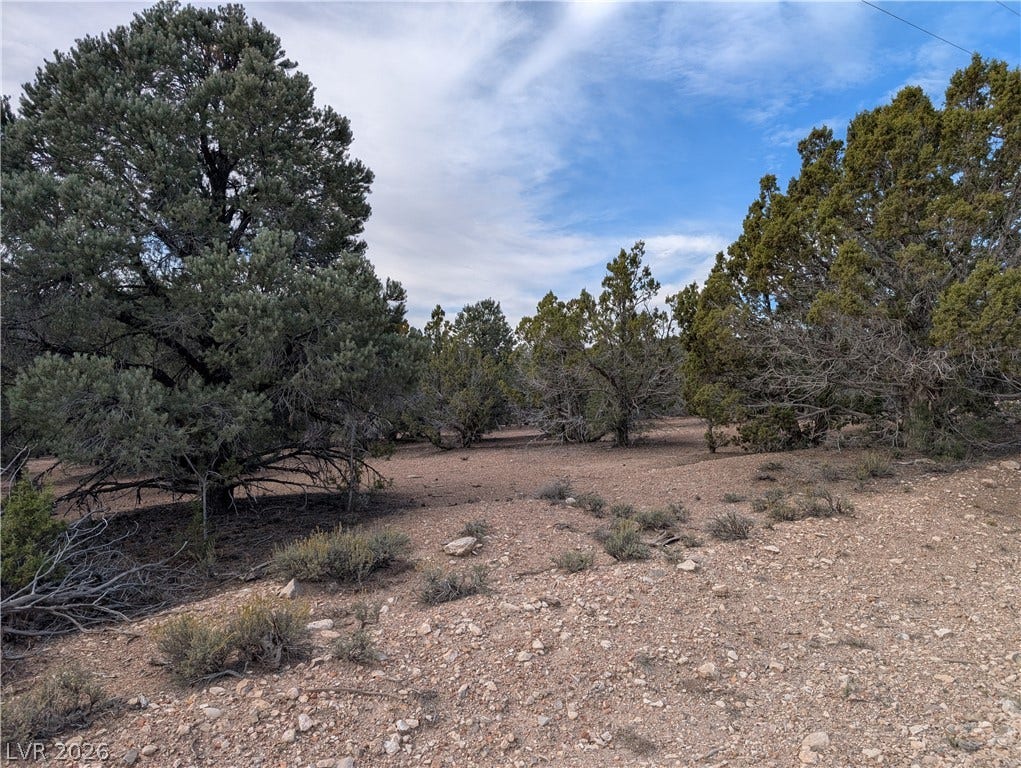 Lot 1-D Side Hill Pass, Pioche, NV 89043 Mature trees frame a peaceful clearing on this natural building lot.