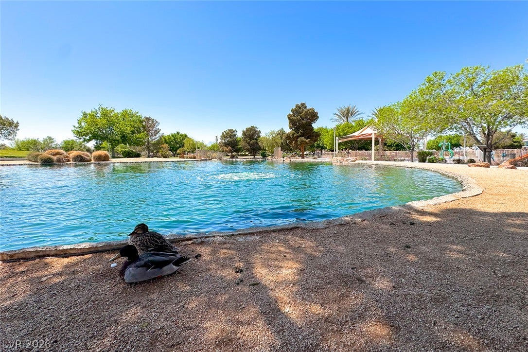 2906 Pumpkin Harvest Avenue, North Las Vegas, NV 89031 An tranquil community pond is framed by mature shade trees and clear desert skies.