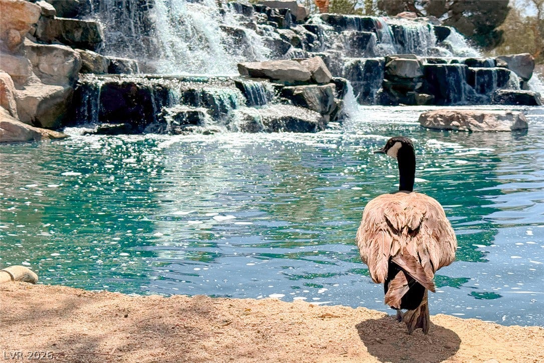 2906 Pumpkin Harvest Avenue, North Las Vegas, NV 89031 A cascading stone waterfall empties into a quiet pond.