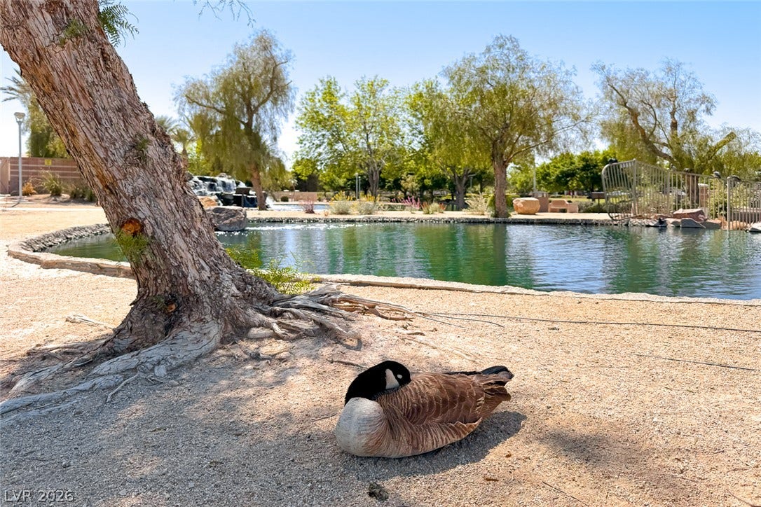 2906 Pumpkin Harvest Avenue, North Las Vegas, NV 89031 Mature trees shade a peaceful pond setting within the community grounds.