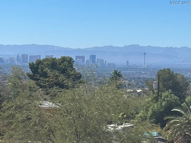 520 Los Feliz Street, Las Vegas, NV 89110 Lush green foliage frames a sweeping panorama of the Las Vegas Strip skyline.