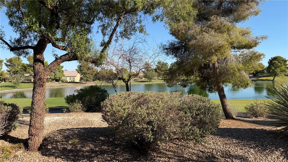Panoramic view of the Man-made Lake from the backyard.