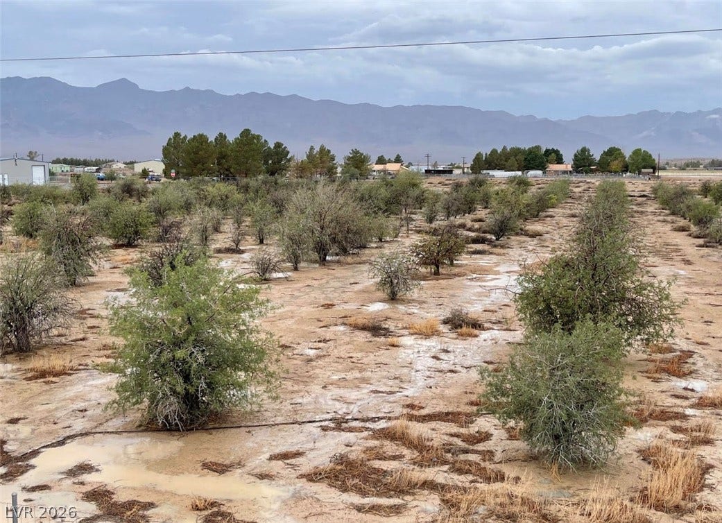 Rugged desert terrain offers sweeping views of the distant mountain range.