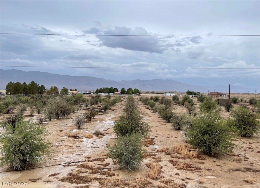 Distant mountains frame this vast orchard property under a dramatic desert sky.