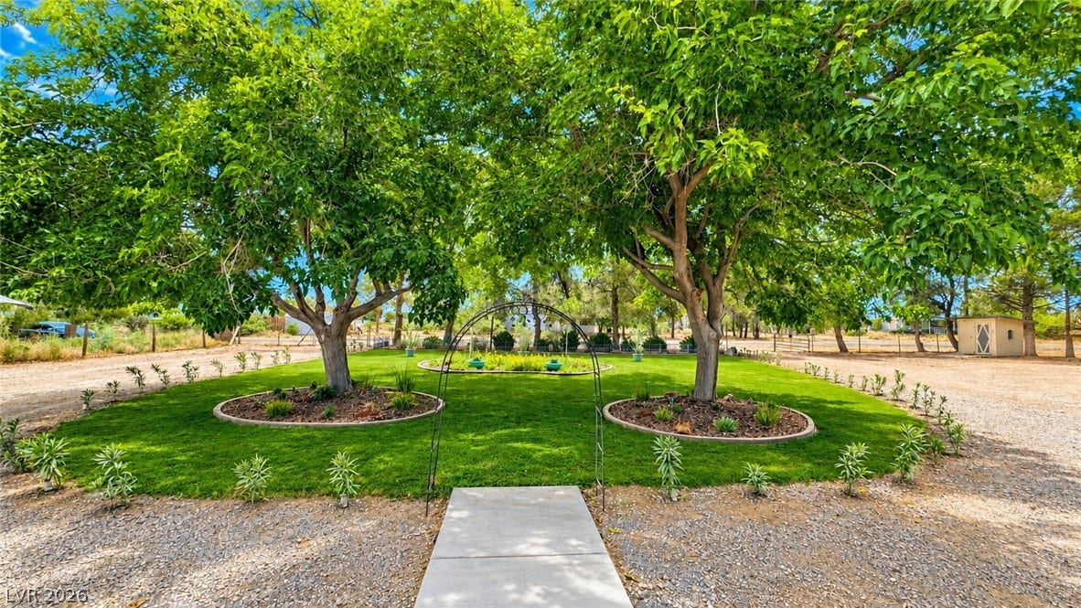 6130 Hawkins Way, Pahrump, NV 89061 Mature trees shade a manicured lawn area featuring a concrete pathway and garden accents.