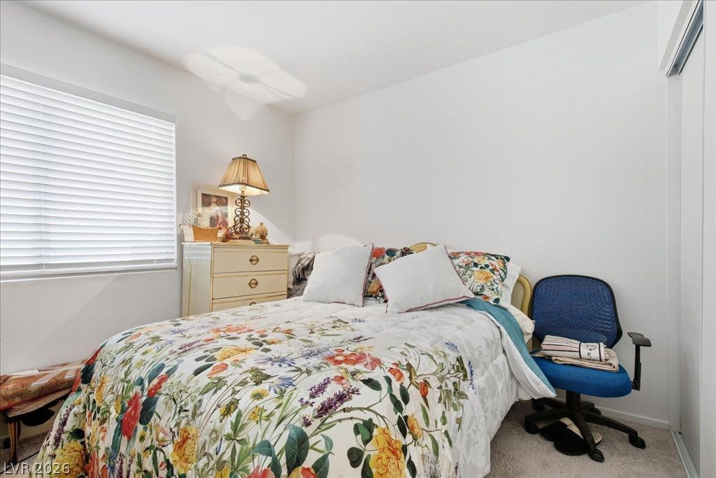 Natural light streams through a wide window, highlighting the carpeted flooring and sliding closet doors.
